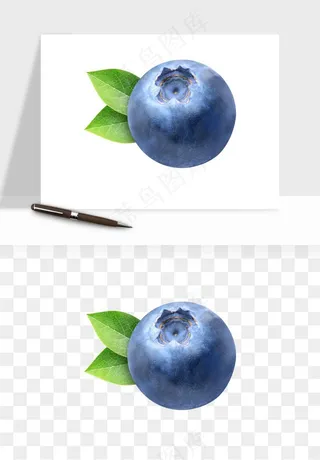 蓝莓水果png免抠