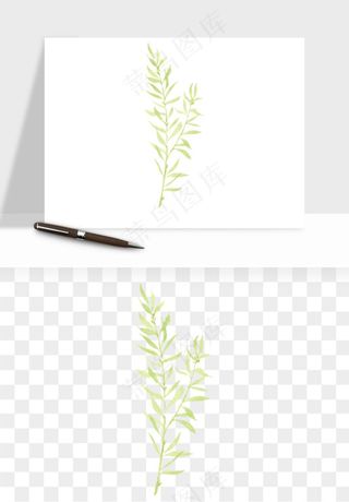 清新手绘植物png免抠