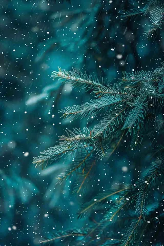 冬天森林里的松针树寒冷霜降摄影图