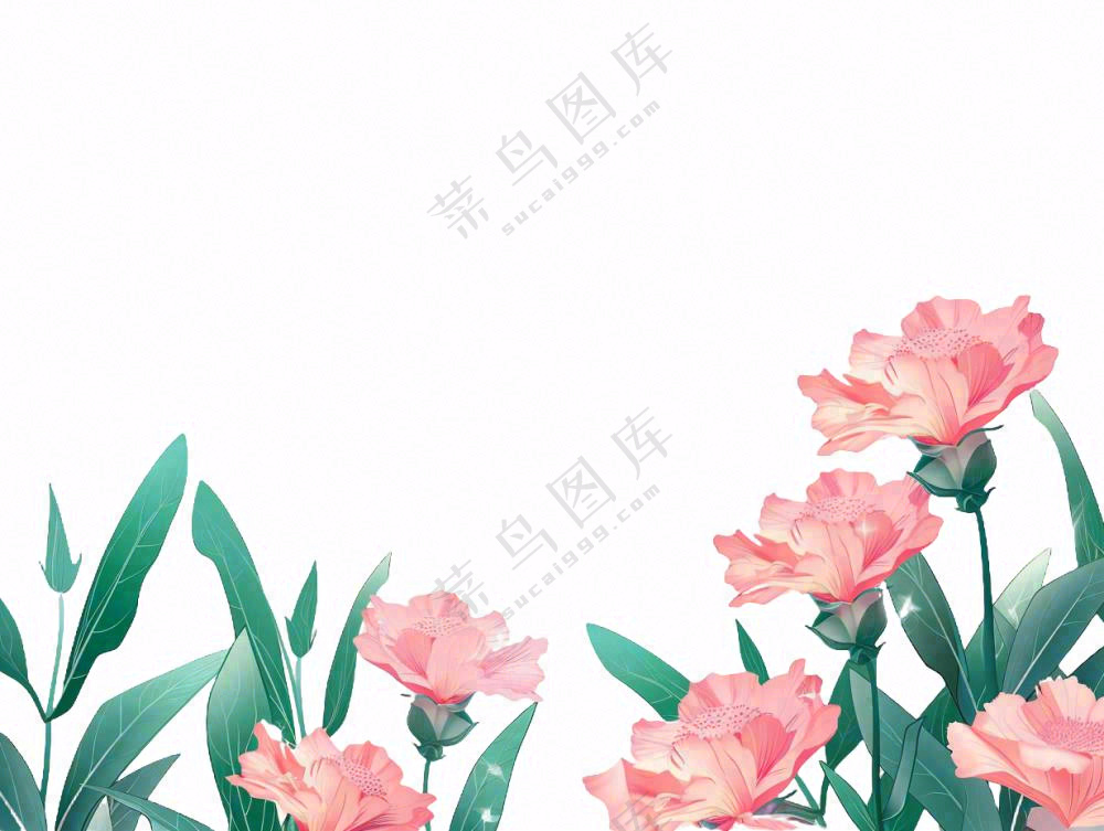 康乃馨鲜花花丛植物插画免抠