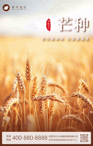 芒种手机海报