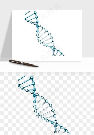 细胞水分子DNA精华成分png免抠