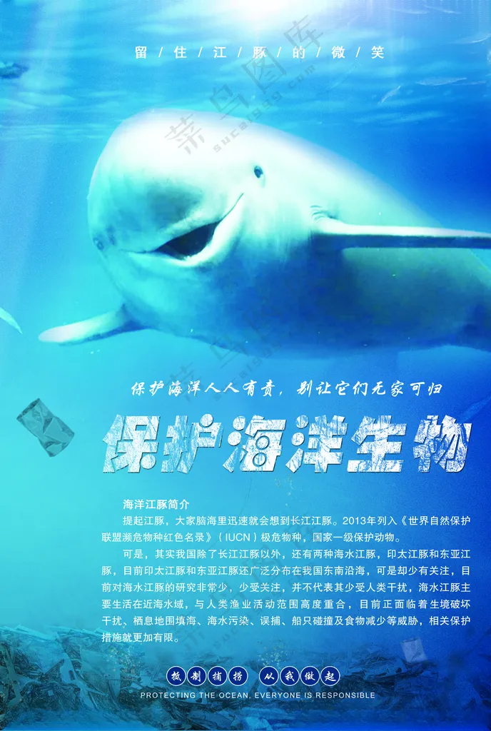 海洋保护环保设计
