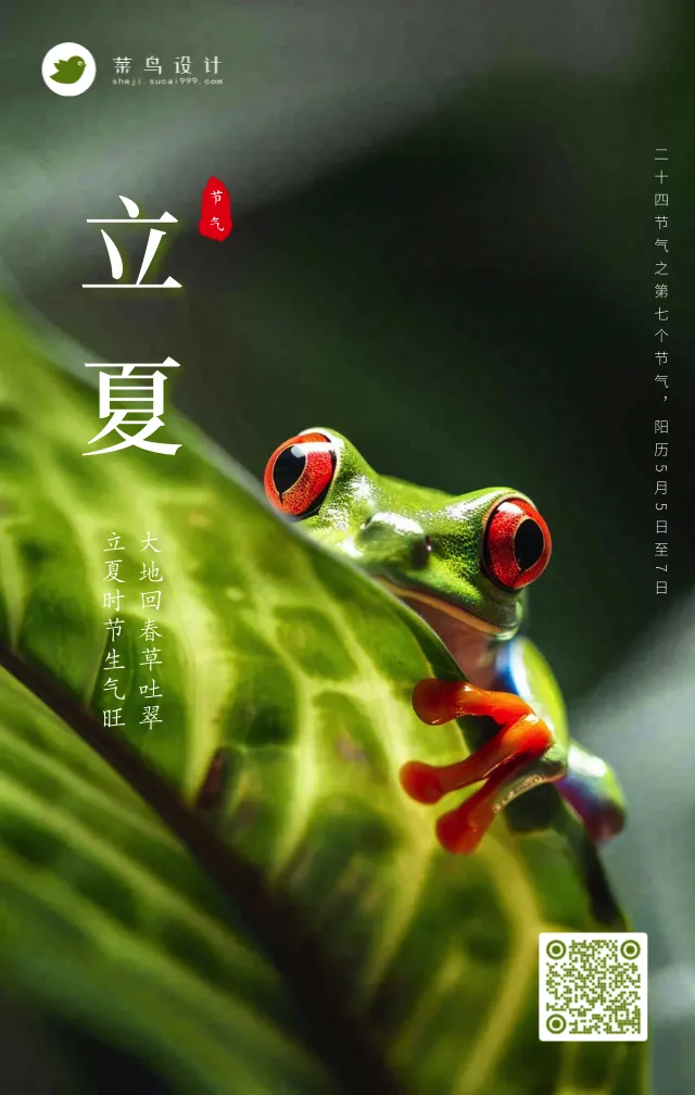 立夏手机海报