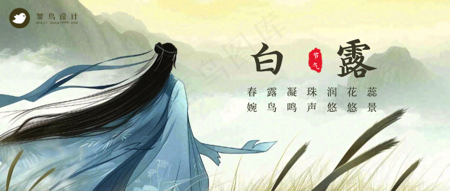 白露公众号首图