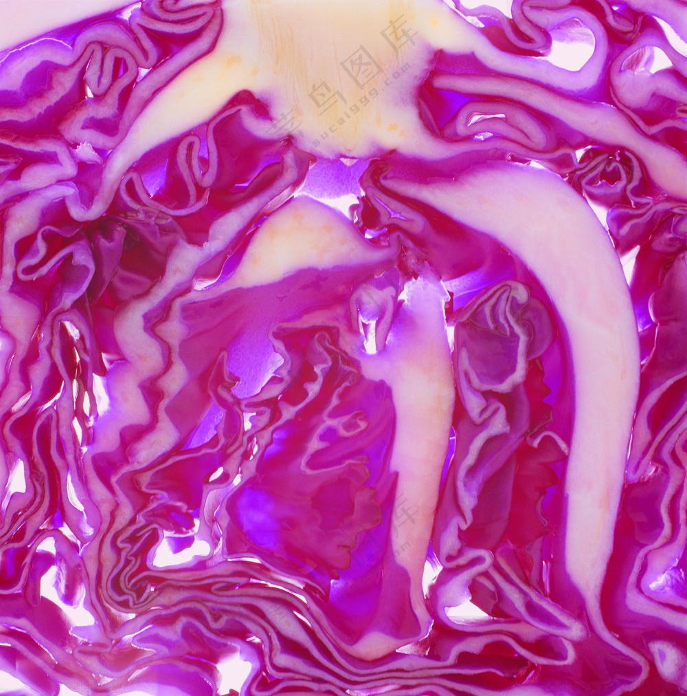 蔬菜切面图片 (22)