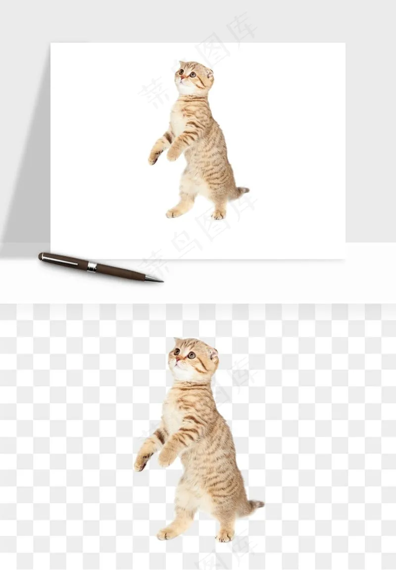 猫咪喵星人狗狗宠物元素png免抠