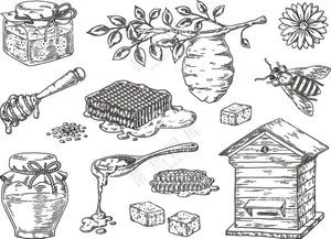 蜜蜂，蜂巢，蜂罐，蜂窝，蜂蜜块