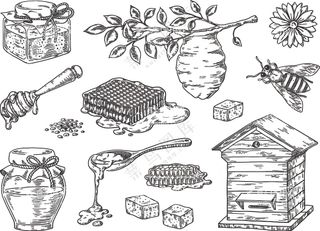 蜜蜂，蜂巢，蜂罐，蜂窝，蜂蜜块