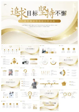 金色励志风工作总结PPT模板预览图