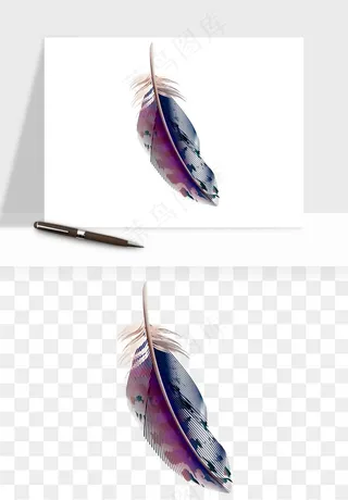 白羽毛漂浮彩色羽毛png免抠