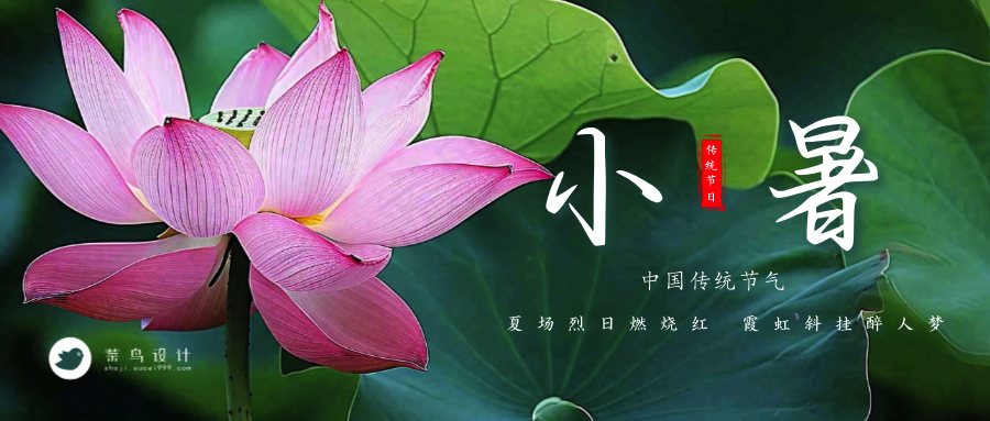 小暑公众号首图