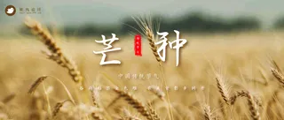 芒种公众号首图