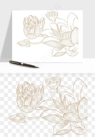 线描荷花莲花线条png免抠