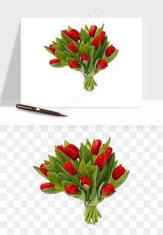 荷兰郁金香鲜花png免抠