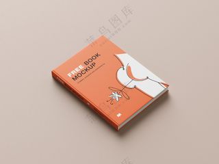 10装帧书籍封面书本画册vi样机