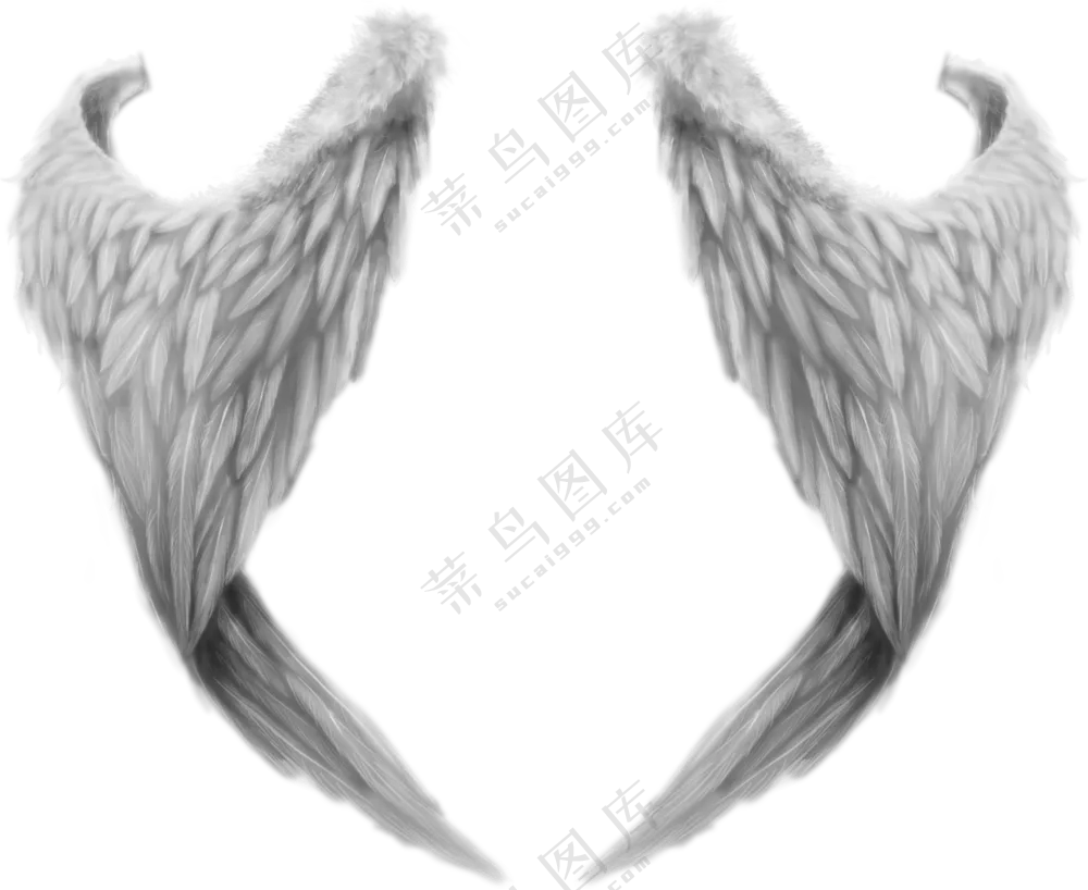 灰白色的羽毛翅膀装饰创意PNG图片