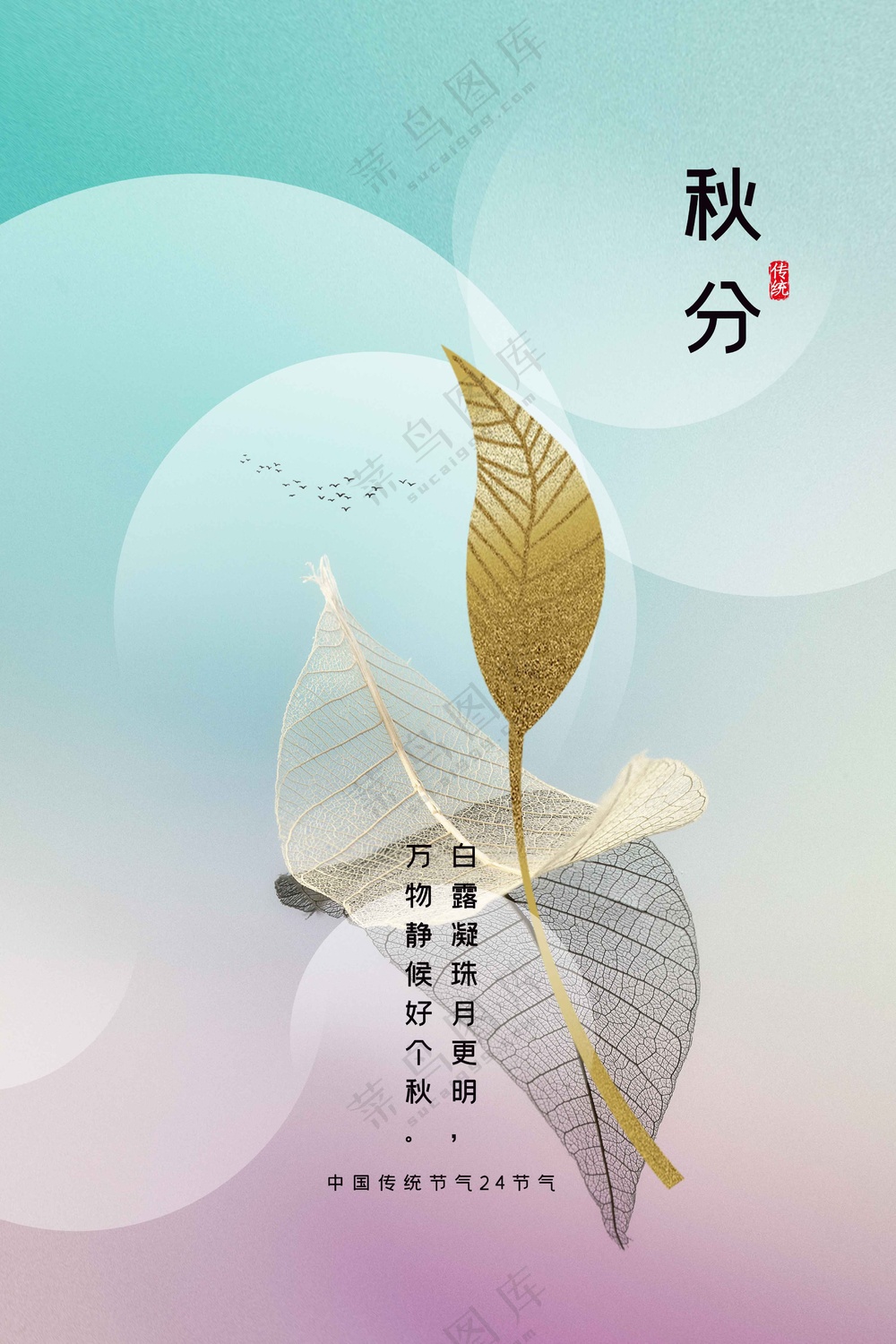 秋分节气传统活动海报