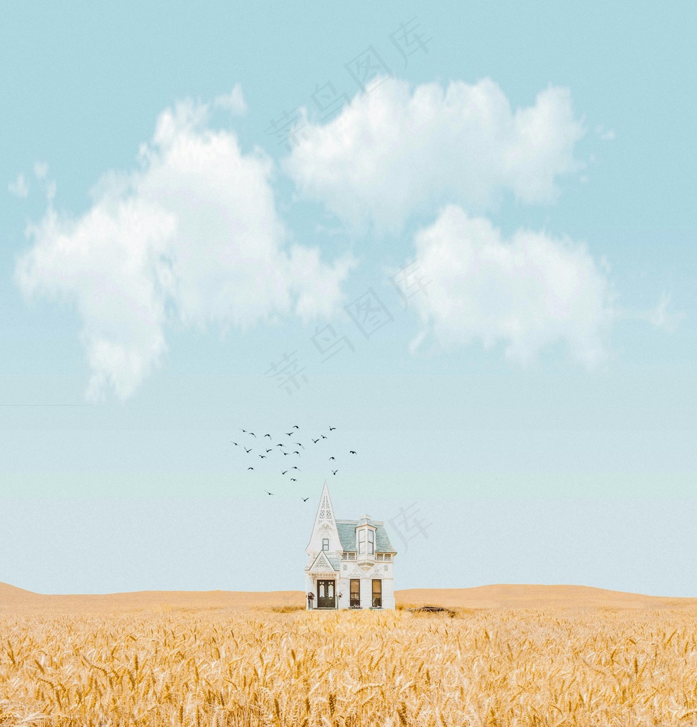 免费 作物田中间的房子 素材图片