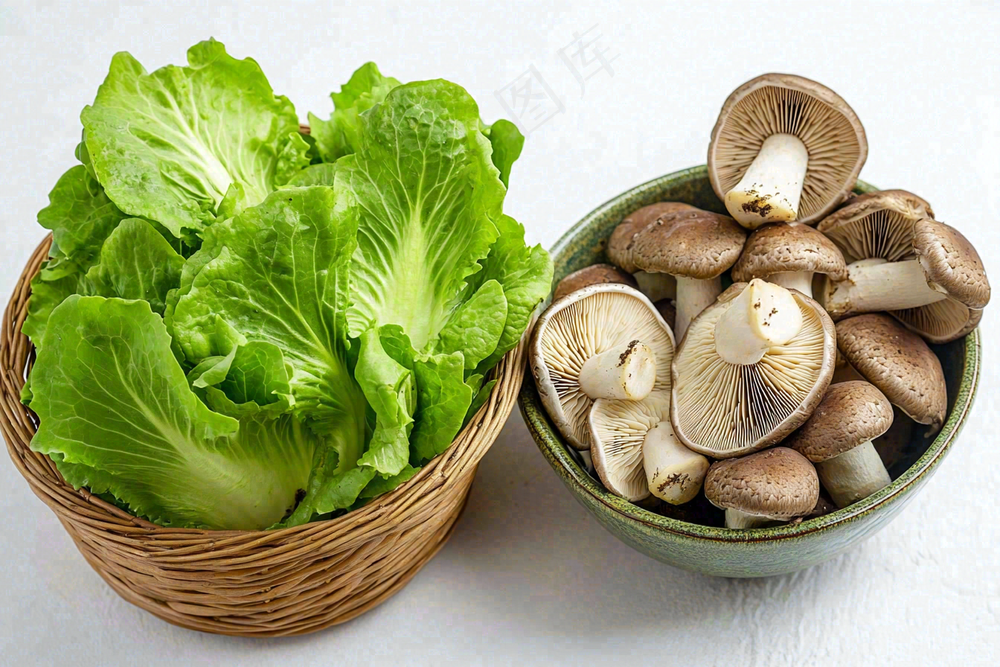 白菜蘑菇蔬菜食物摄影图