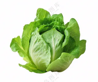 青菜生菜蔬菜免抠
