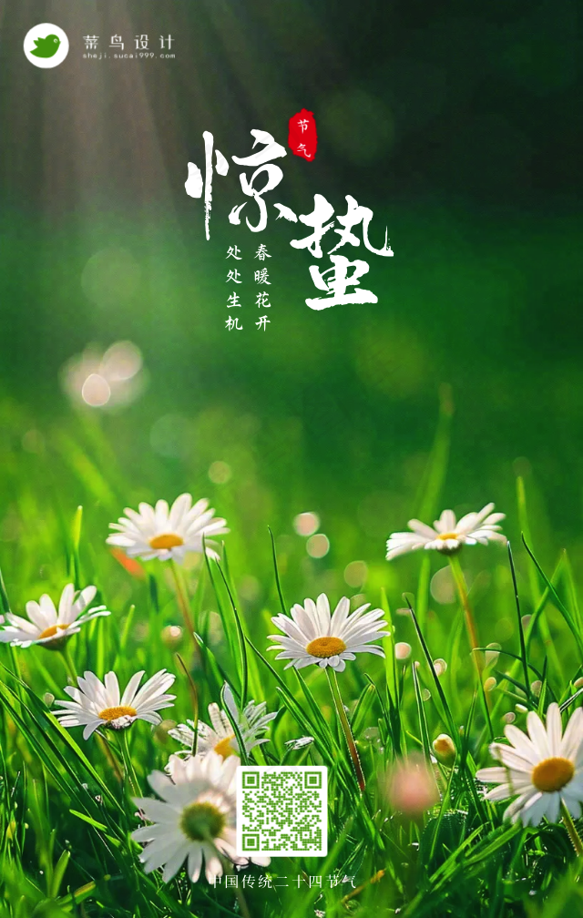惊蛰手机海报