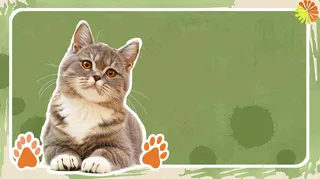 宠物寄养猫狗卡通插画背景