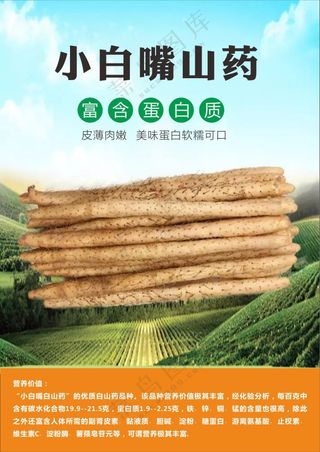 小白嘴山药