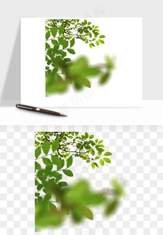 绿叶虚化前景树枝png免抠