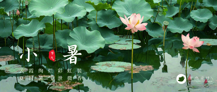 小暑公众号首图