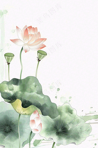 夏天荷花荷叶清凉小清新淡雅立夏夏至暑插画背景