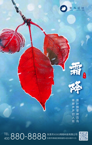 霜降手机海报