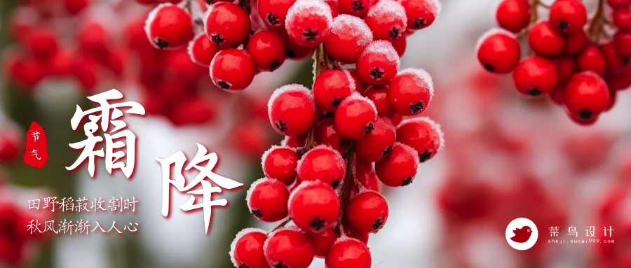 霜降公众号首图