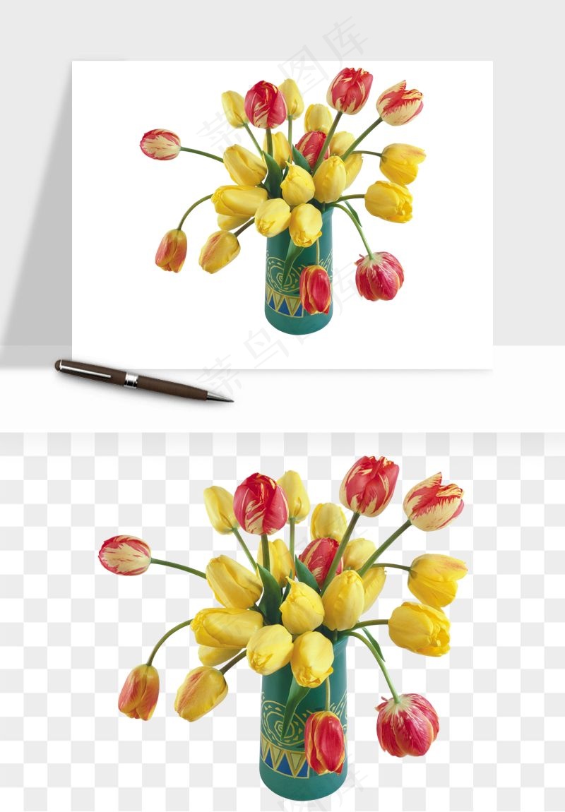 荷兰郁金香鲜花png免抠