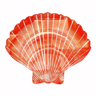 海洋扇贝贝壳卡通插画免抠