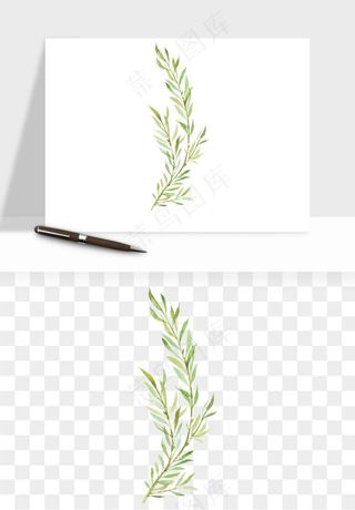 清新手绘植物png免抠