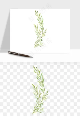 清新手绘植物png免抠