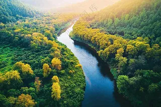 秋天立秋森林大自然风景摄影图