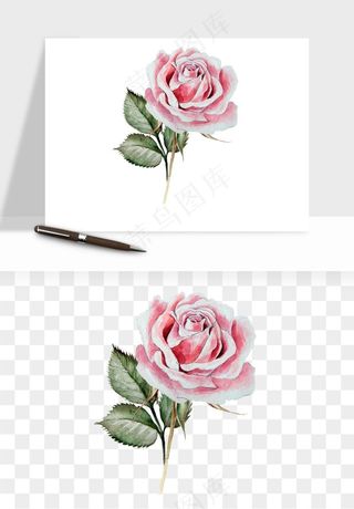 水彩复古花卉png免抠