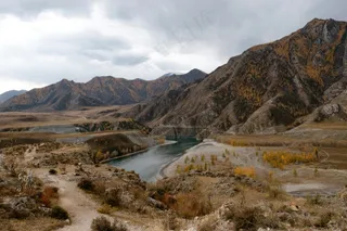 金秋落叶小径的宁静韵味