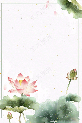 夏天荷花荷叶清凉小清新淡雅立夏夏至暑插画背景