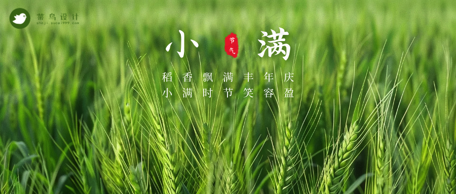 小满公众号首图