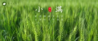 小满公众号首图