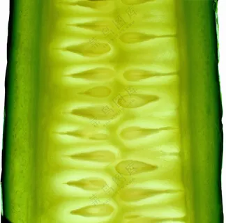 蔬菜切面图片 (16)