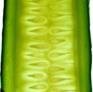 蔬菜切面图片 (16)