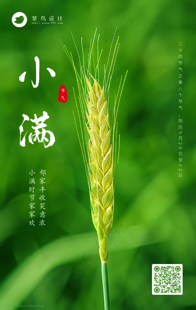小满手机海报