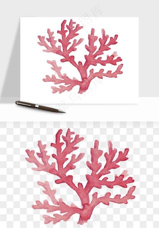 卡通珊瑚海底植物png免抠