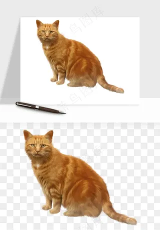 猫咪喵星人狗狗宠物元素png免抠