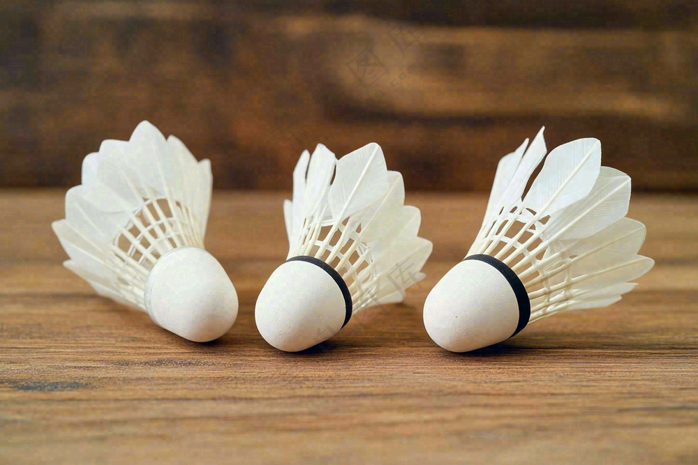 羽毛球竞技运动摄影图