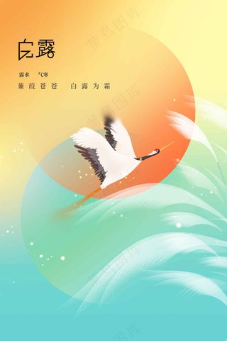 白露节气传统活动海报